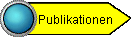 Publikationen